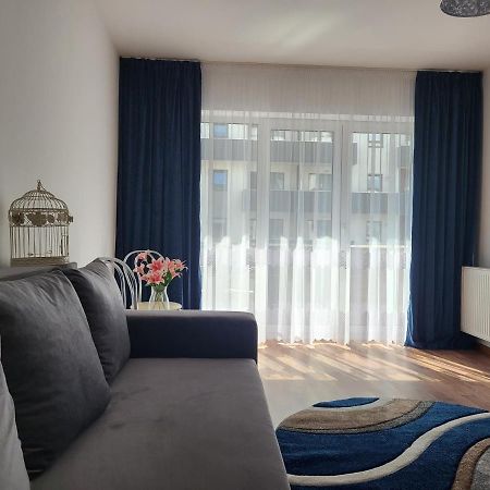 Apartament C&L Брашов Экстерьер фото